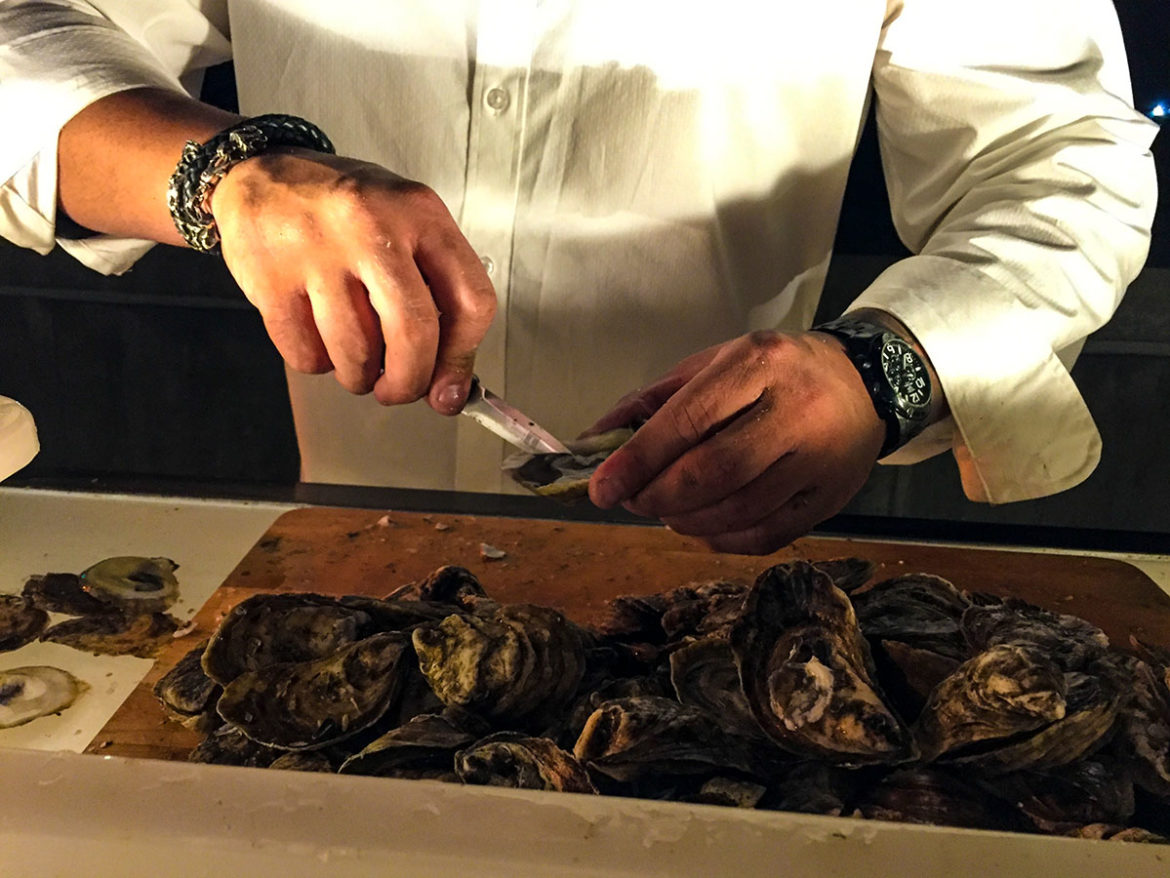 Oyster Garden Ottawa 2017 Mat Beausoleil